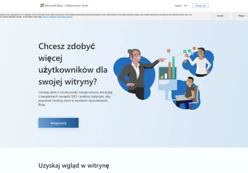 Bing Webmaster Tools - Domena: Weryfikacja i analiza SEO