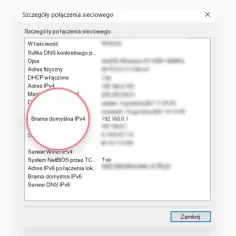 Szczegóły połączenia sieciowego: Brama domyślna IPv4 to adres routera 192.168.0.1.